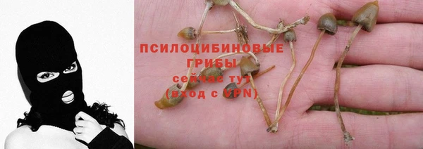 гашиш Гусиноозёрск