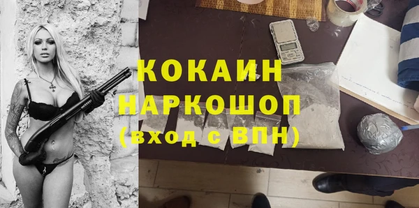 ГАЛЛЮЦИНОГЕННЫЕ ГРИБЫ Гусь-Хрустальный