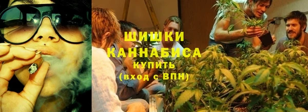 ГАЛЛЮЦИНОГЕННЫЕ ГРИБЫ Гусь-Хрустальный