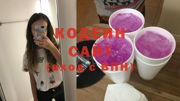 ГАЛЛЮЦИНОГЕННЫЕ ГРИБЫ Гусь-Хрустальный