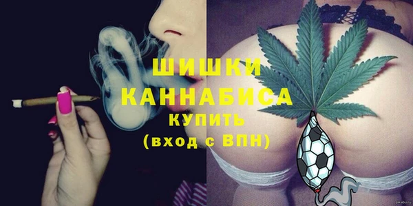ГАЛЛЮЦИНОГЕННЫЕ ГРИБЫ Гусь-Хрустальный