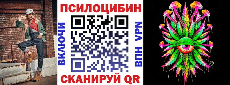 закладки  Курск  Галлюциногенные грибы Cubensis 